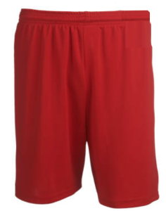 Youth Sweeper Soccer Short by Teamwork Athletic Style Number 4602